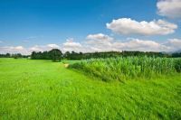 თბილისი/დიდი დიღომი/